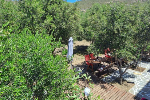Naxos olive & home (11)