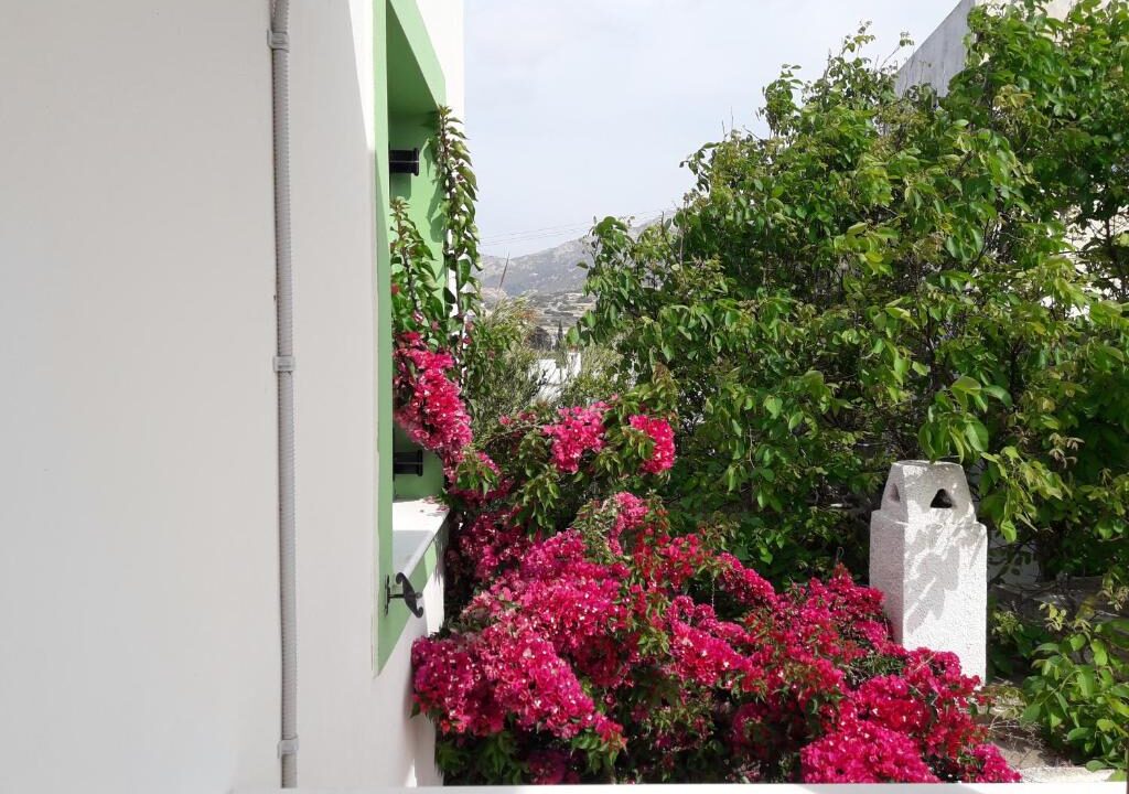 Naxos olive & home (3)