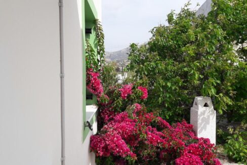 Naxos olive & home (3)