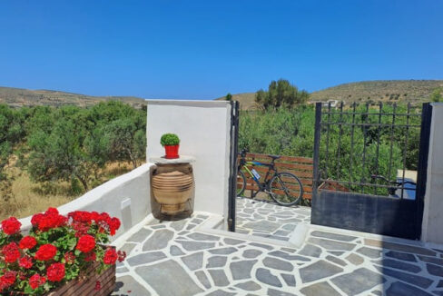 Naxos olive & home (7)