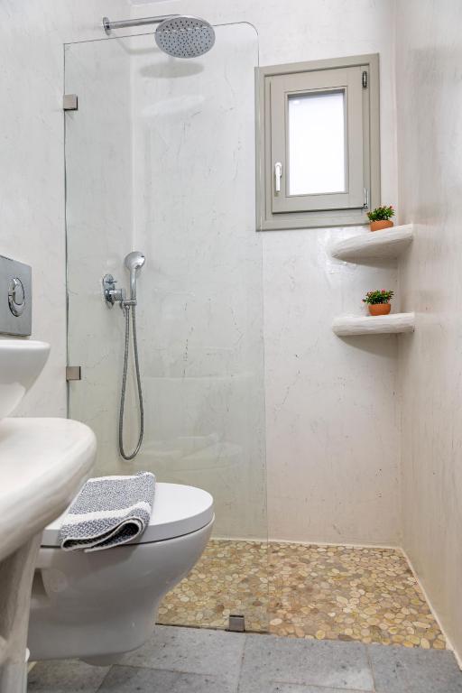 Suite Apartment n. 5 (7)