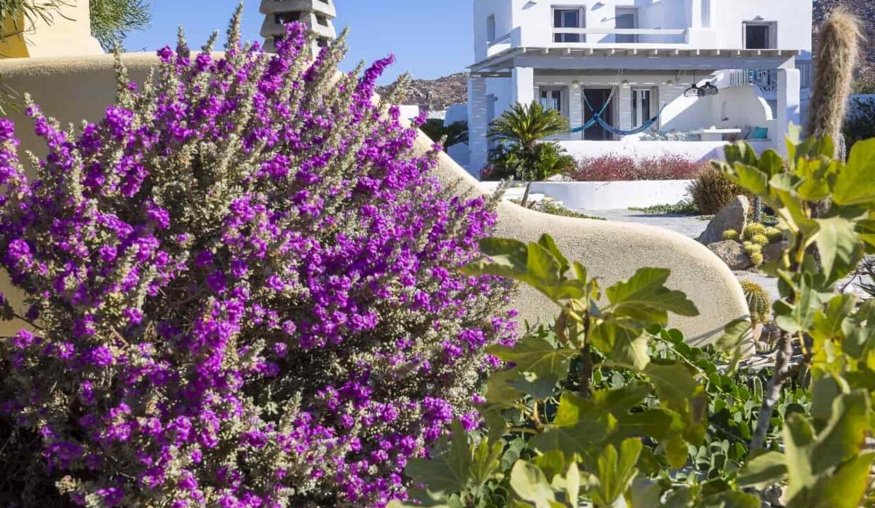 Villa Ione - 4 Bedrooms Villa with Private Pool (31)