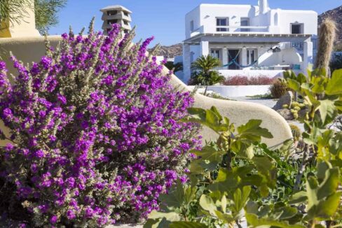 Villa Ione - 4 Bedrooms Villa with Private Pool (31)